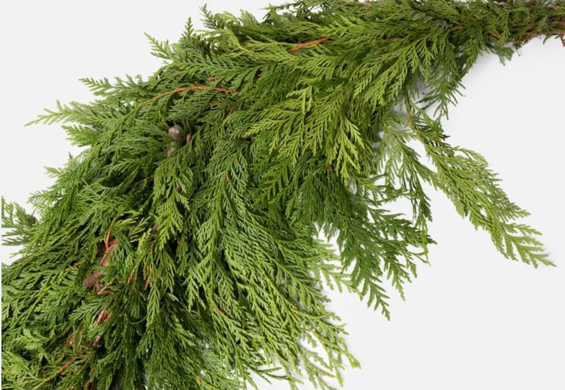 Western Red Cedar Garland