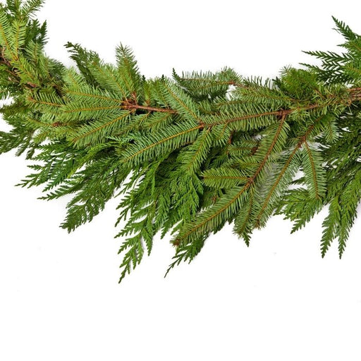 Mixed Evergreen Garland