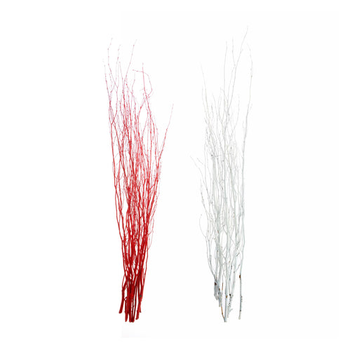 Birch Branches Bunches and Stems