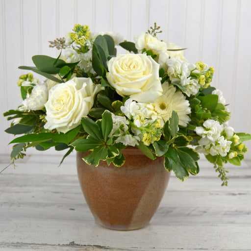 Pot of Purity