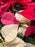 Poinsettia