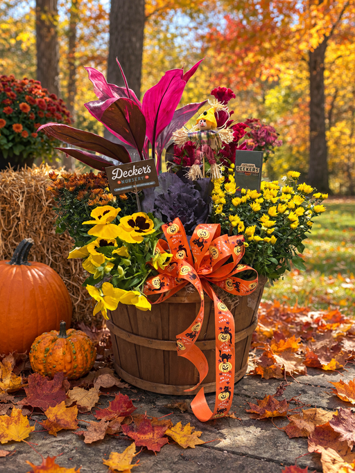 Autumn Plant Basket