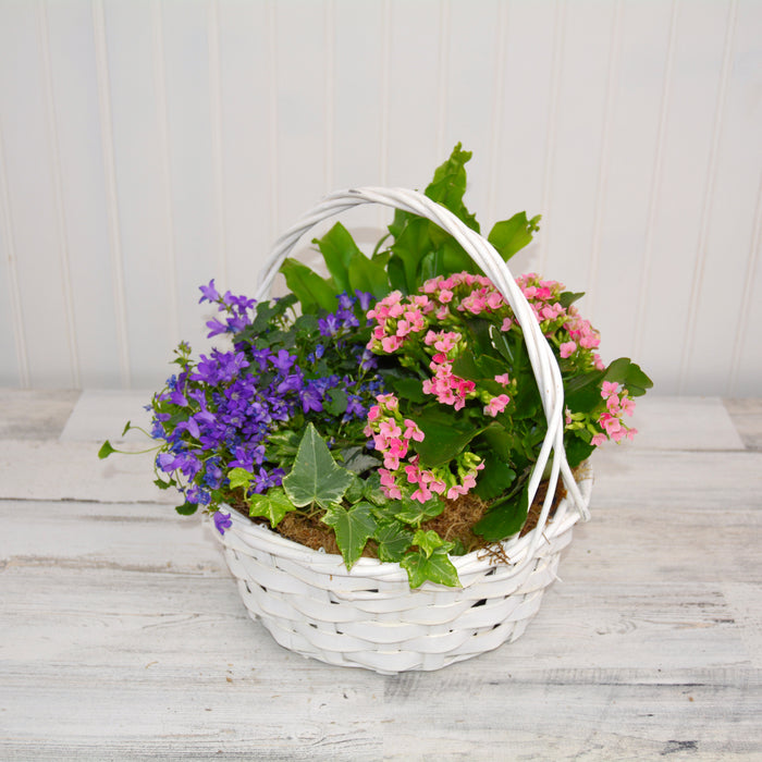 Plant Basket with Flowering