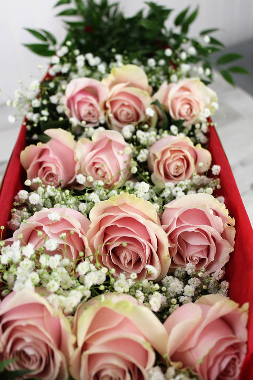 (1) Dozen Forever Roses with Baby's Breath Displayed in Decorative Box