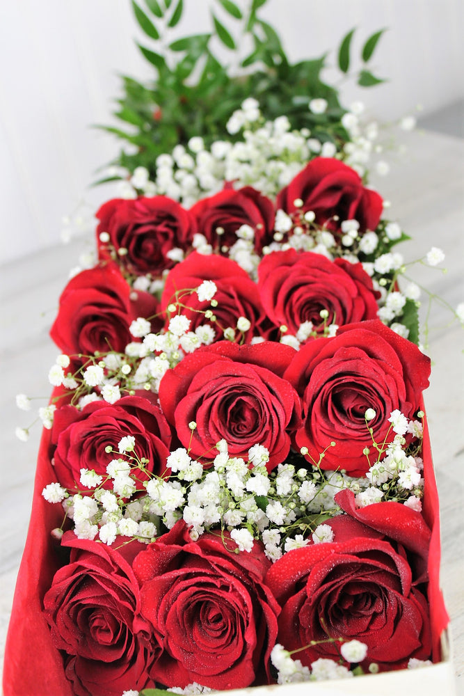 One Dozen Roses Presented in a Box -Red Elegance