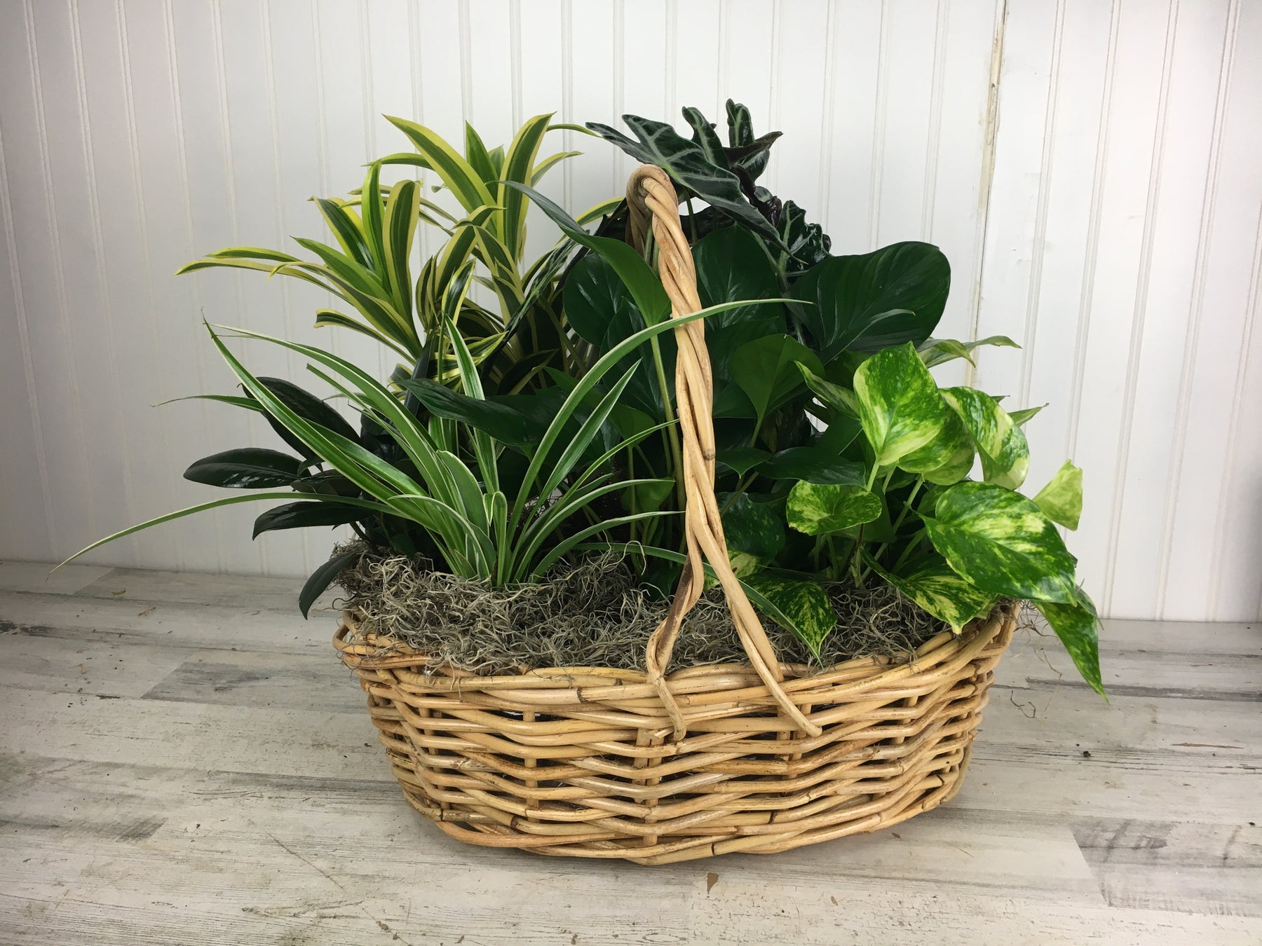 Large Garden in a Basket