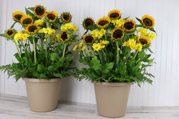 Event Pillars with Sunflowers