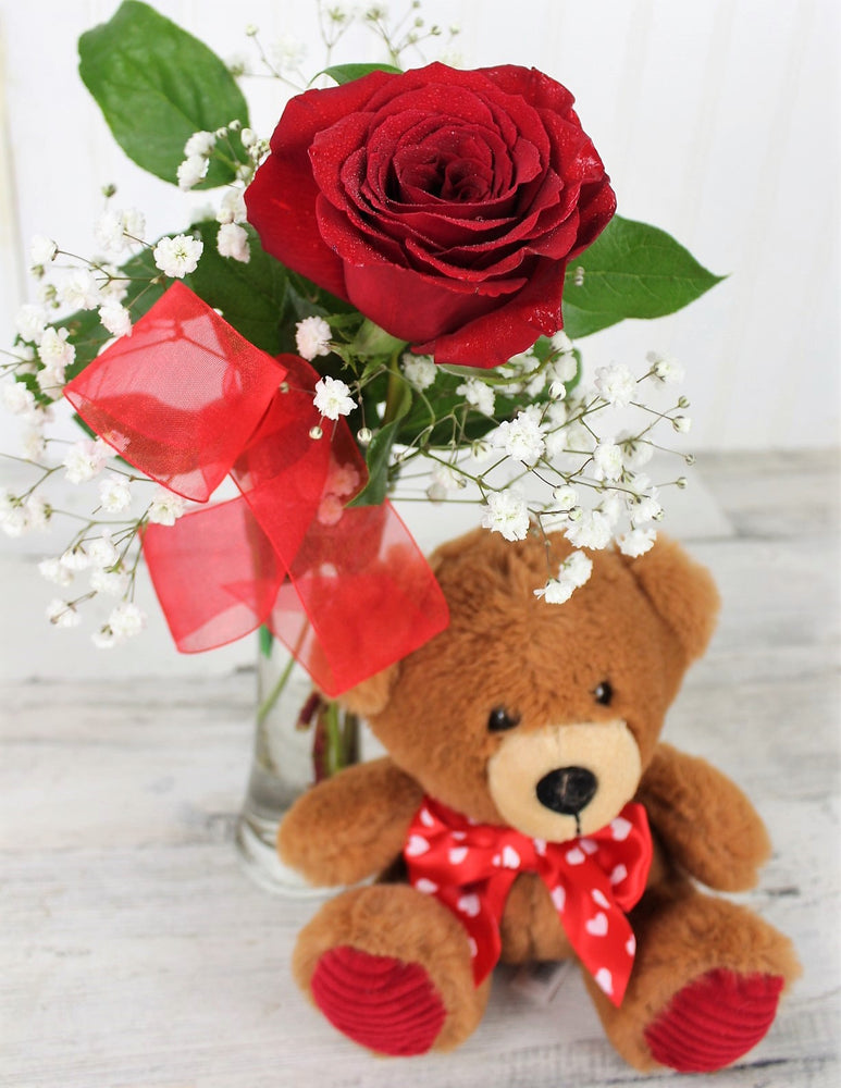 forråde Skyldig jern Single Red Rose with Teddy Bear — The Florist at Decker's Nursery